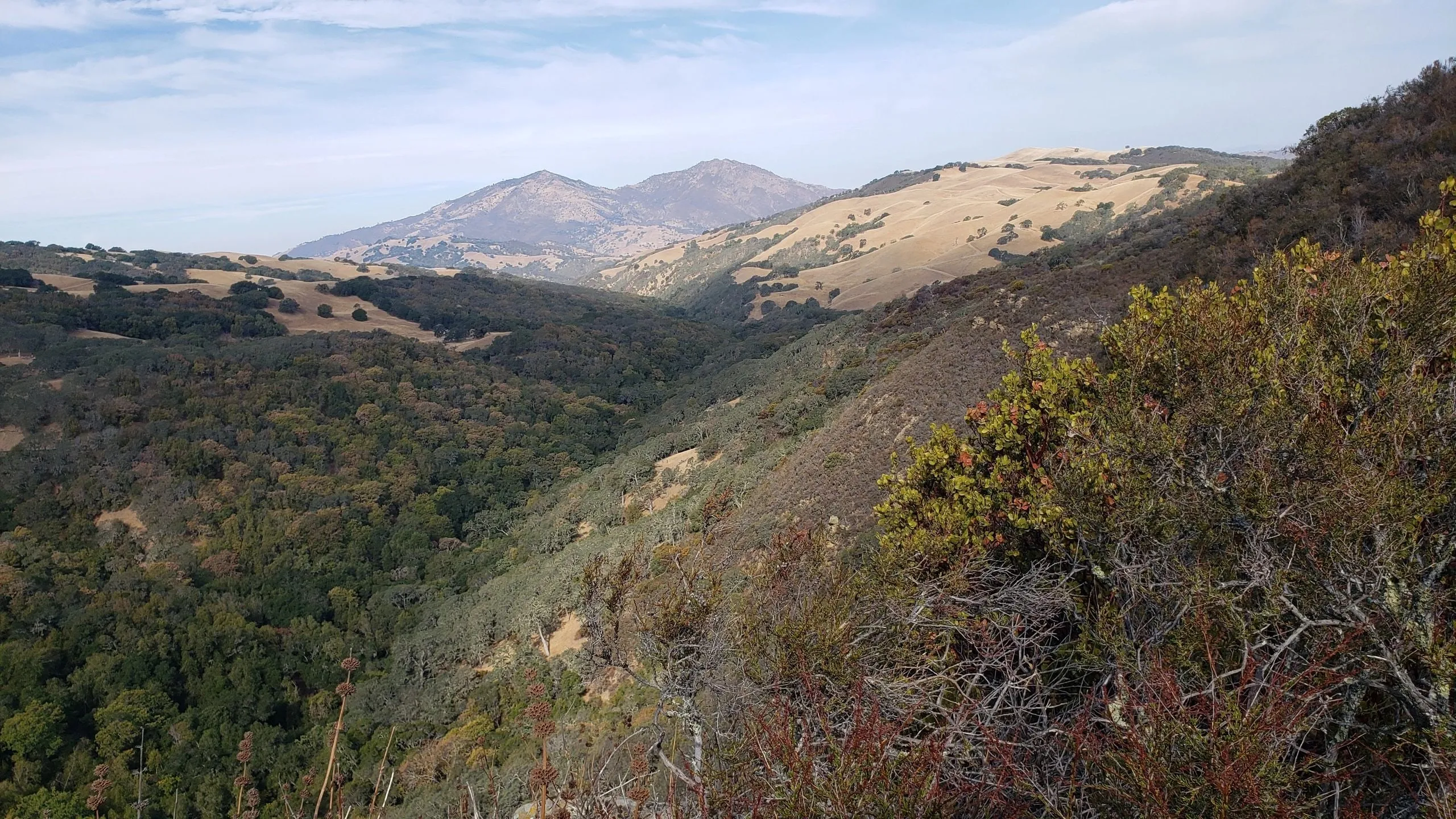 Oak-covered hills and a distant peak in the late afternoon light.